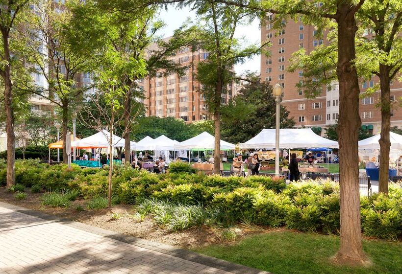 酒店 Hilton Arlington