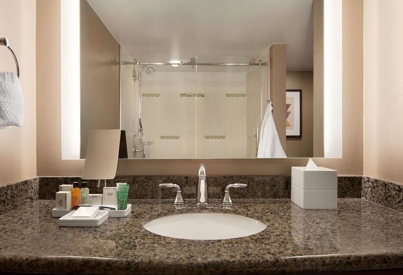 酒店 Hilton Arlington