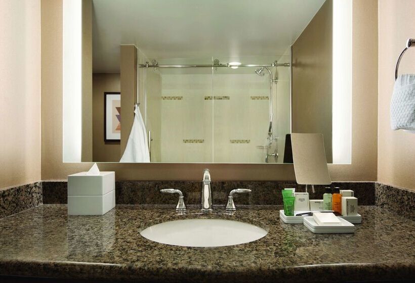 酒店 Hilton Arlington