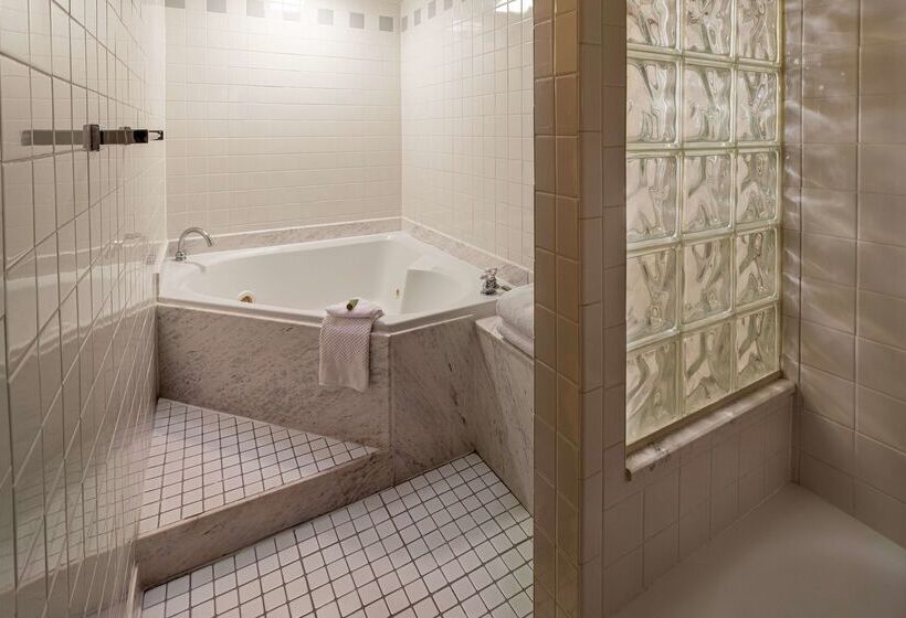 בית מלון כפרי Hilton Cincinnati Netherland Plaza