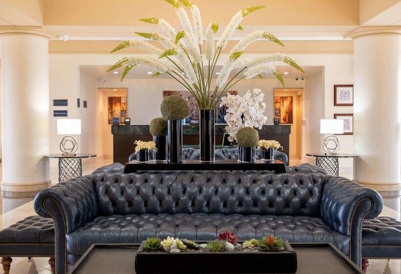 فندق Hilton Palm Beach Pbi