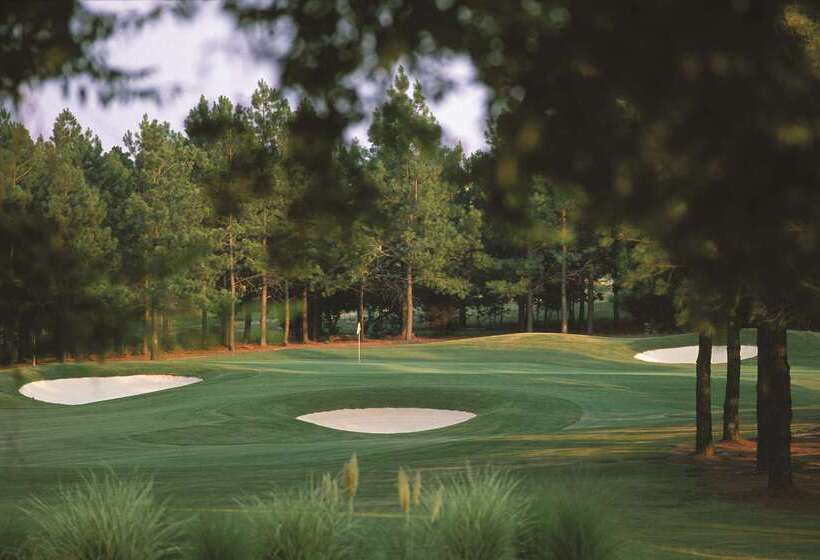 ホテル Hilton Raleigh North Hills