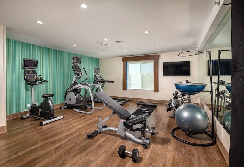 فندق Holiday Inn Express & Suites Chatsworth, An Ihg