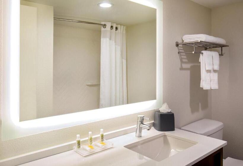 호텔 Holiday Inn Newport News Hampton, An Ihg