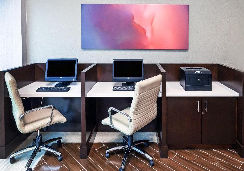 Hotel Holiday Inn Tyler   Conference Center, An Ihg