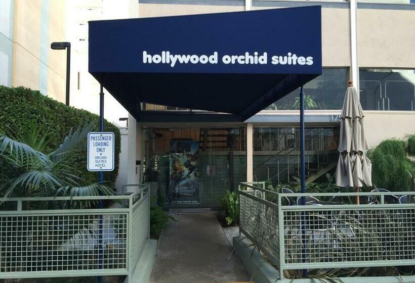 فندق Hollywood Orchid Suites