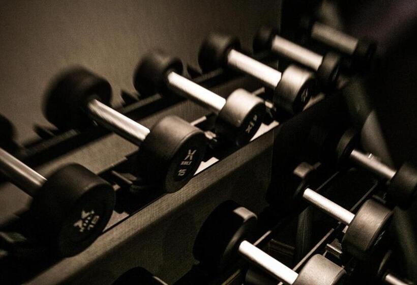 酒店 Indigo   Birmingham Five Points S   Uab, An Ihg