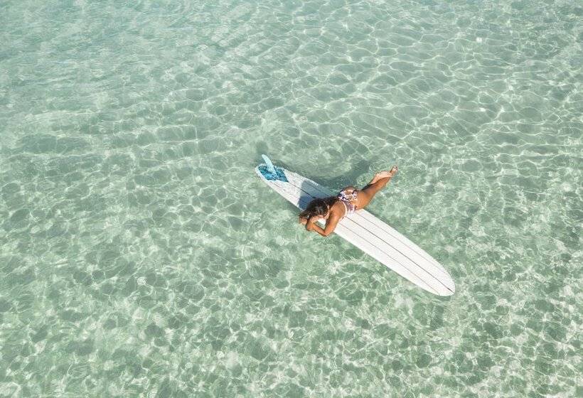 호텔 Kaimana Beach