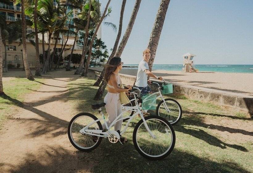 酒店 Kaimana Beach