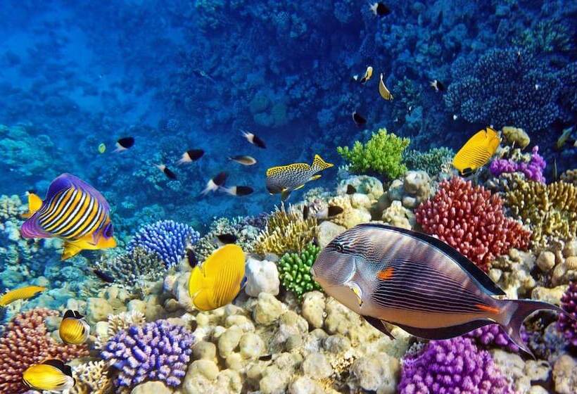 בית מלון כפרי Lord Baltimore