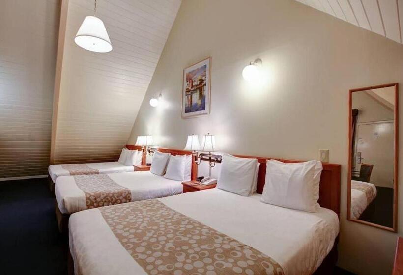 فندق Newport Channel Inn