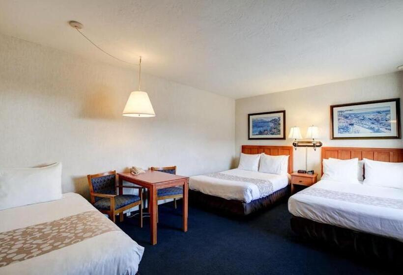 فندق Newport Channel Inn