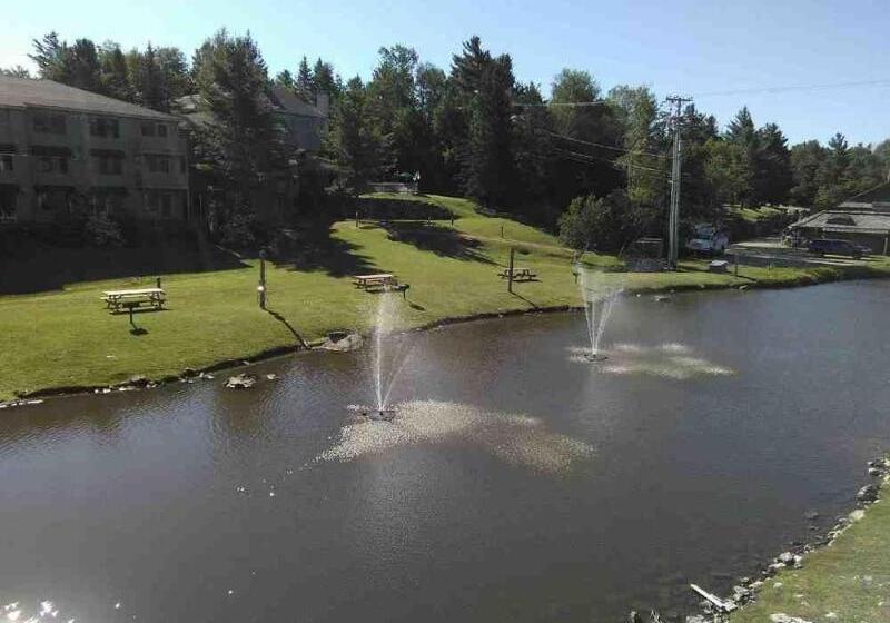 Отель North Star Lodge And Resort