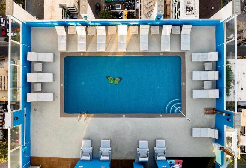 בית מלון כפרי Pacific Monarch