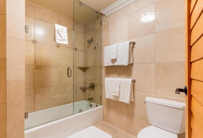 酒店 Pacific Terrace