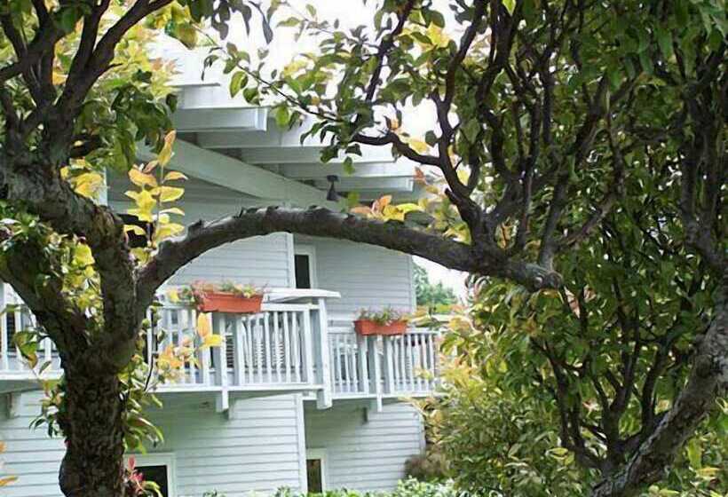 فندق Vervana, Trademark Collection By Wyndham