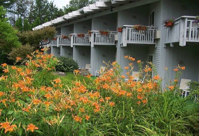 فندق Vervana, Trademark Collection By Wyndham