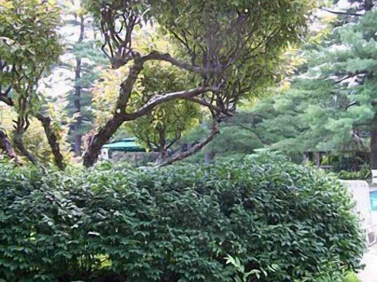 فندق Vervana, Trademark Collection By Wyndham