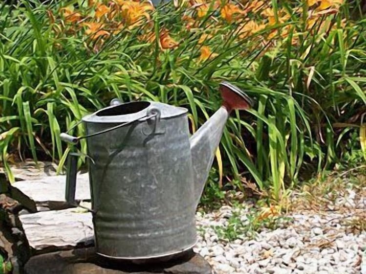 فندق Vervana, Trademark Collection By Wyndham