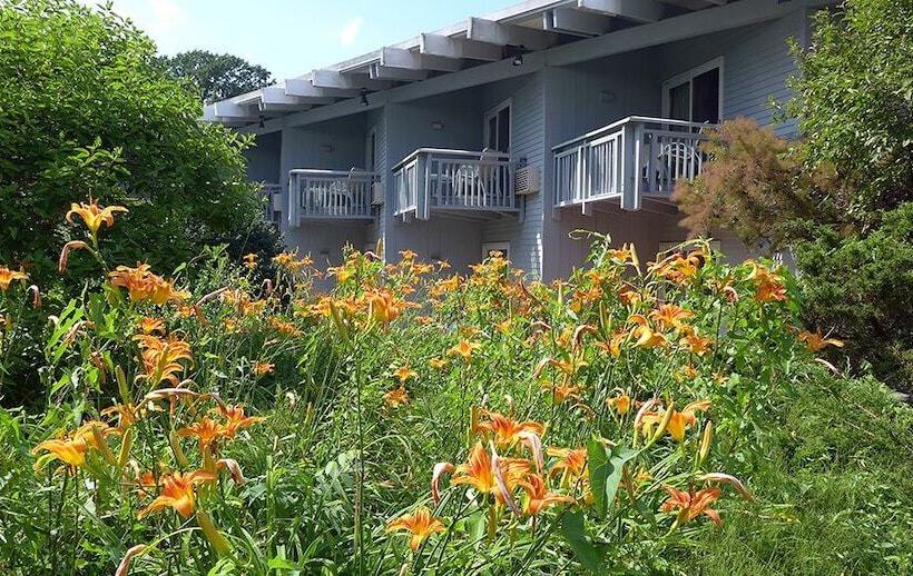 فندق Vervana, Trademark Collection By Wyndham