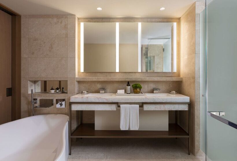 酒店 Park Hyatt Chicago