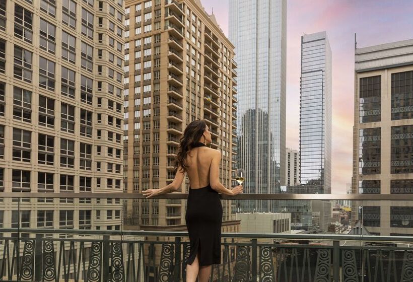 酒店 Park Hyatt Chicago