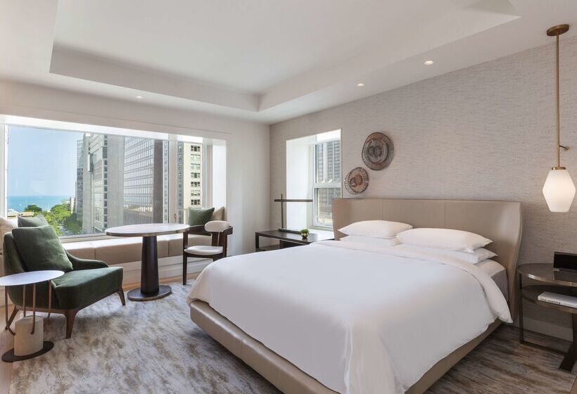 酒店 Park Hyatt Chicago