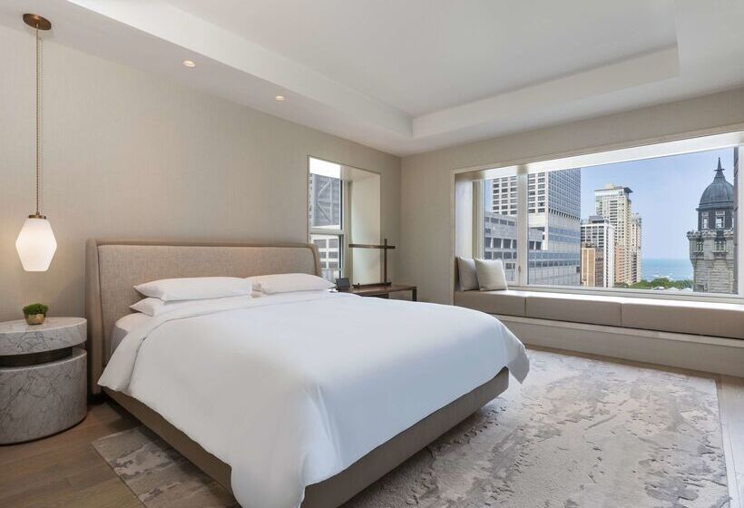 酒店 Park Hyatt Chicago