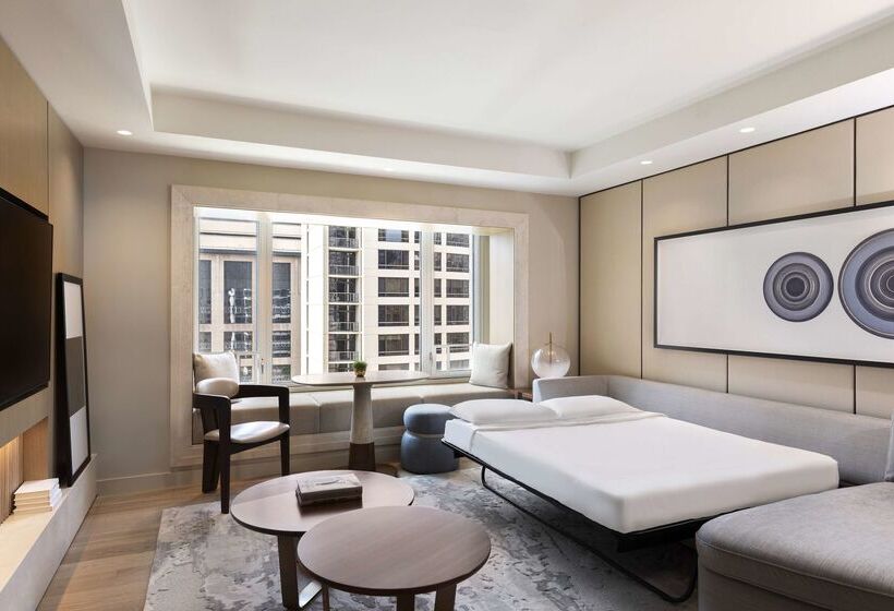 酒店 Park Hyatt Chicago