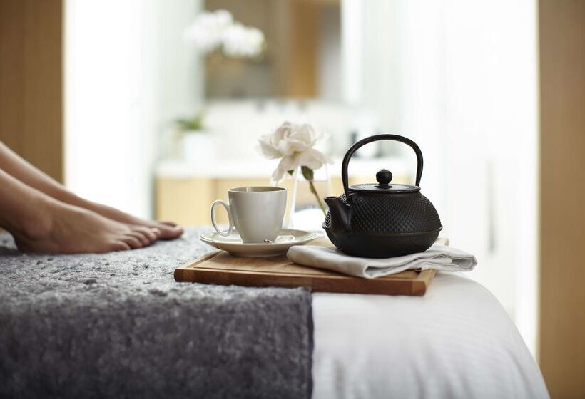 酒店 Park Hyatt Chicago