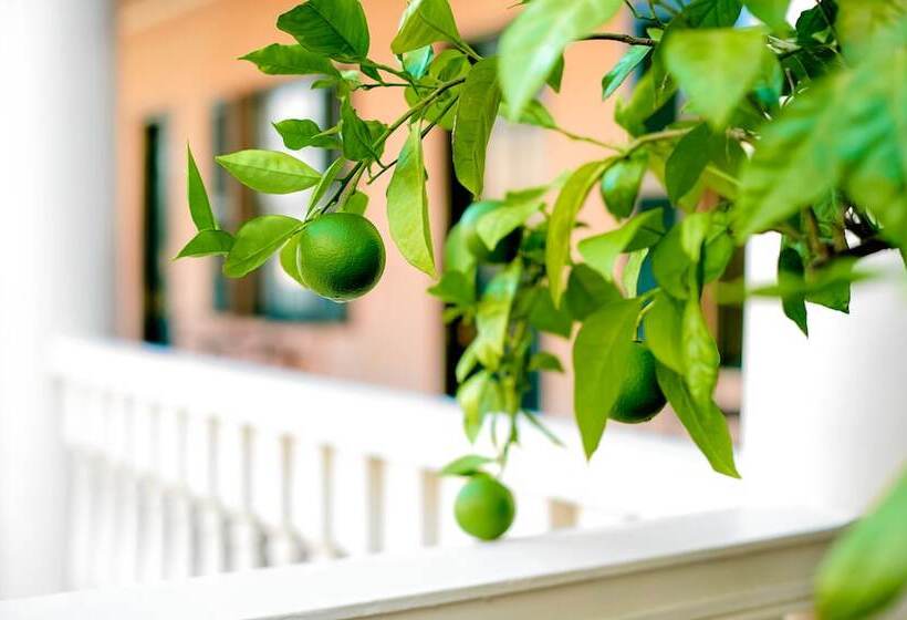 בית מלון כפרי Planters Inn  Charleston