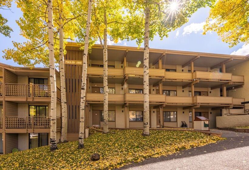 酒店 Pokolodi Lodge