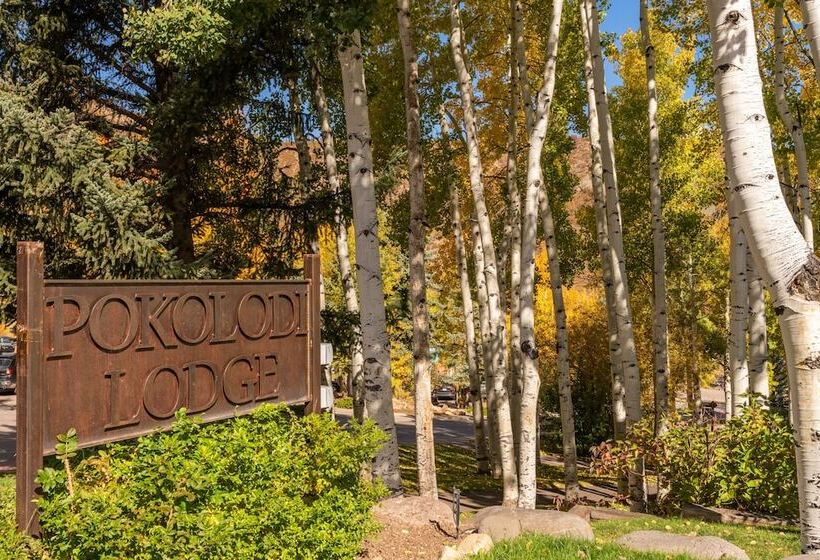 酒店 Pokolodi Lodge