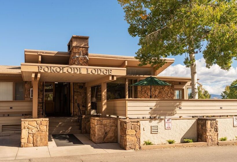 酒店 Pokolodi Lodge