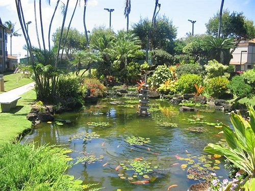 فندق Kauai Beachfront Inn