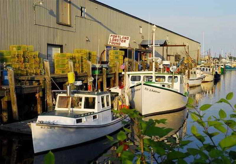 호텔 Portland Sheraton At Sable Oaks