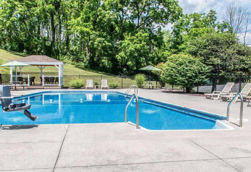 فندق Quality Inn