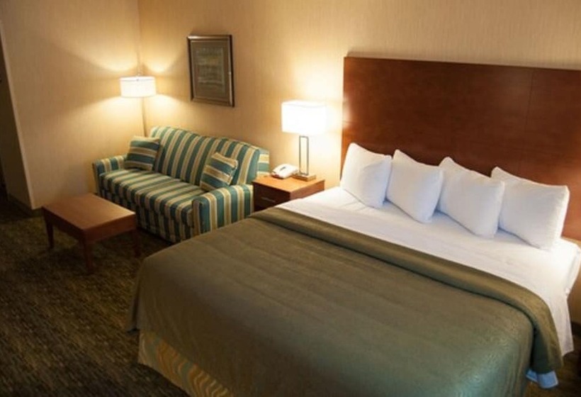 فندق Quality Inn