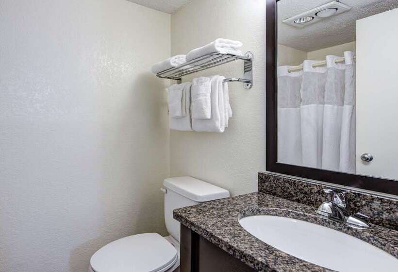 酒店 Quality Inn Creekside Downtown Gatlinburg