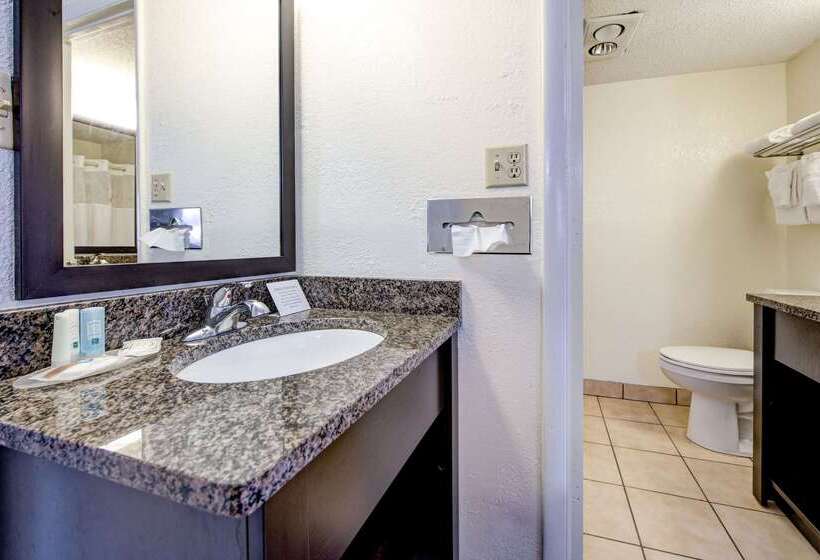 酒店 Quality Inn Creekside Downtown Gatlinburg