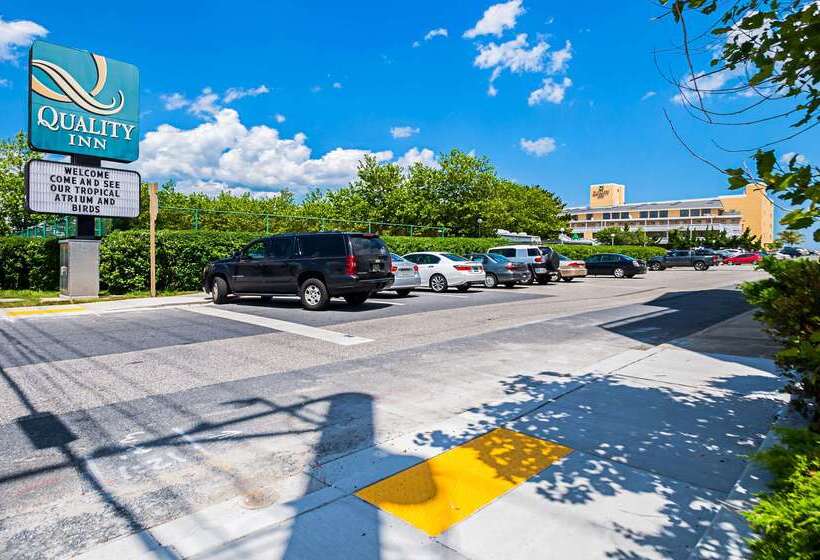 בית מלון כפרי Quality Inn Oceanfront