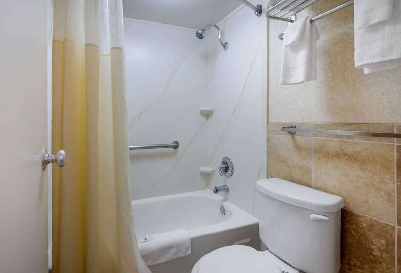 酒店 Quality Inn Savannah Historic District