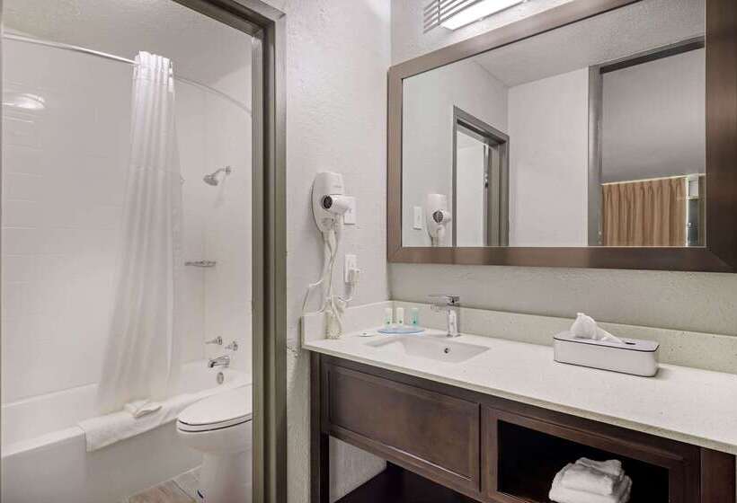 فندق Quality Inn & Suites