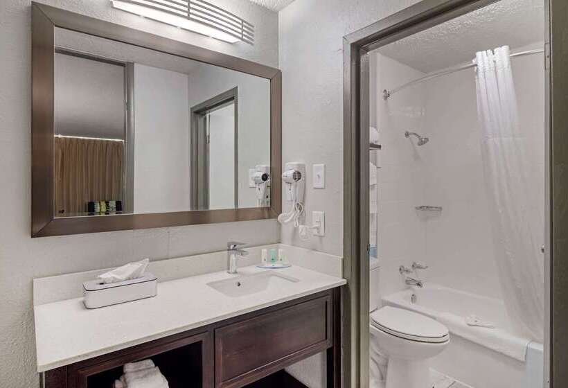 فندق Quality Inn & Suites