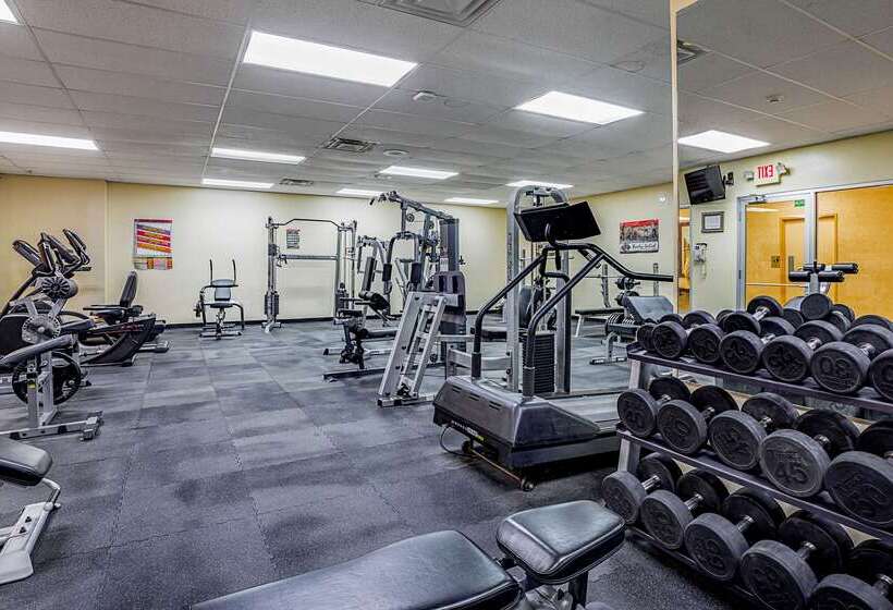 فندق Quality Inn & Suites Coldwater Near I69