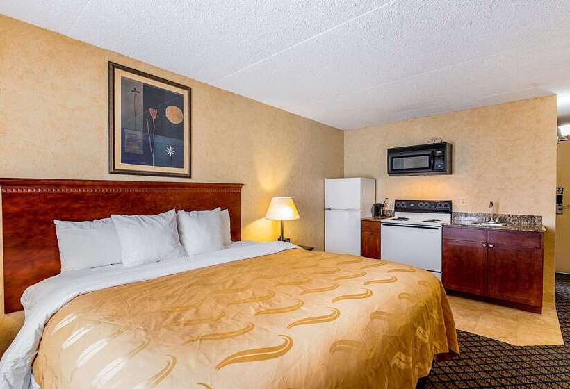 فندق Quality Inn & Suites Coldwater Near I69