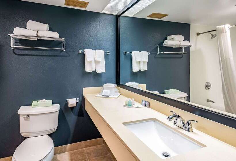 酒店 Quality Inn & Suites Garden Of The Gods