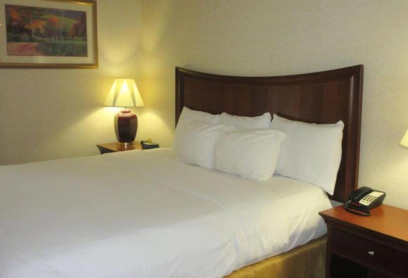 فندق Quality Inn & Suites Owego