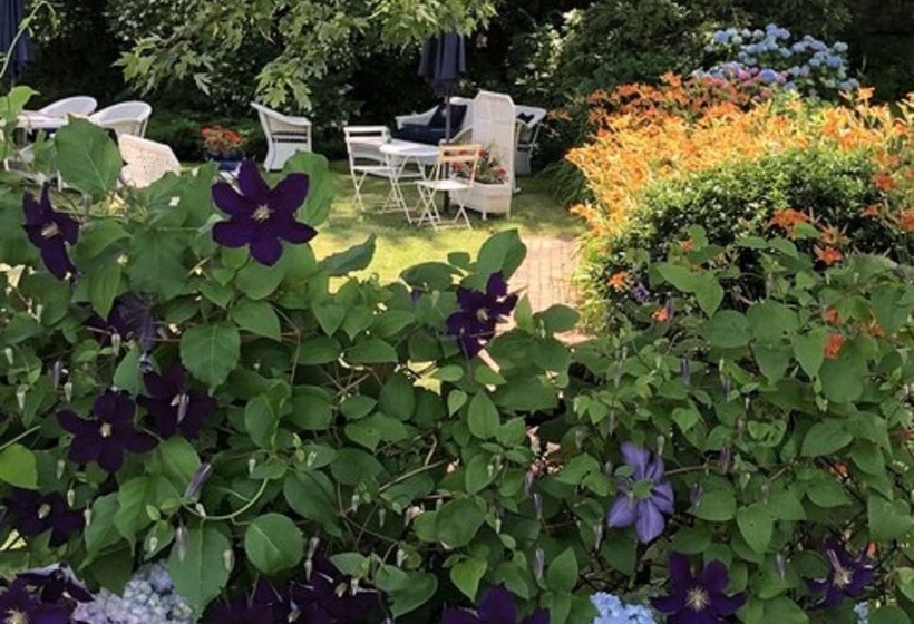 בית מלון כפרי Queen Anne Inn