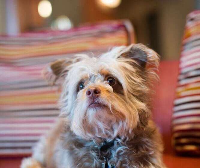 Radisson Hotel Duluth Harborview